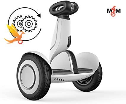 SwallowBot Upgrade Service for Segway miniPLUS and Ninebot S PLUS